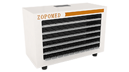 ̫���ɼ���61999����